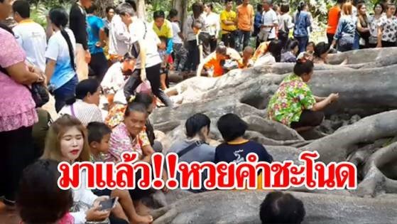 หวยคำชะโนด คืออะไร ทำไมจึงเป็นที่นิยม
